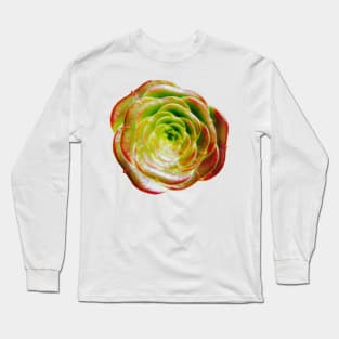 Cactus Rose ~ Succulent Aeonium (Cropped) Long Sleeve T-Shirt